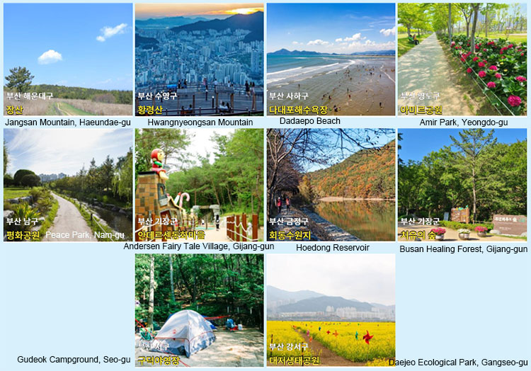 釜山観光 スポット10 アンタクト観光地 10ヶ所選定 基本情報 釜山 観光タクシー ツアーは釜山旅